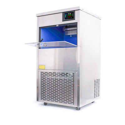 Lunga durata di vita 60 kg in acciaio inossidabile Macchina per ghiaccio a fiocco di neve con tecnologia automatica