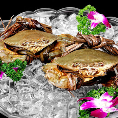 660W Low Temperature Table Top Ice Cube Making Machine per una produzione giornaliera di ghiaccio di 90 kg